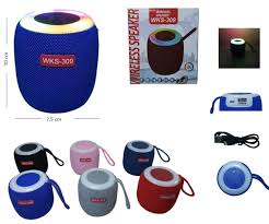 PARLANTE WIRELESS WKS309